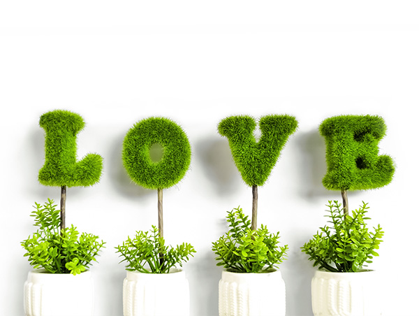 绿色环保的爱