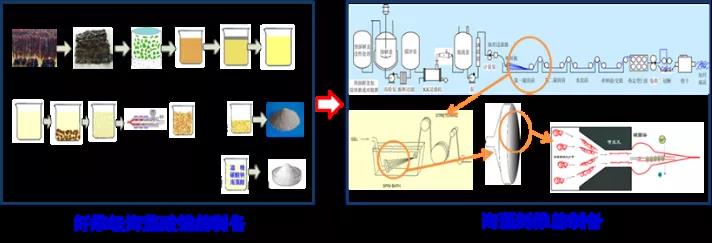 图2 海藻纤维的制备流程示意图