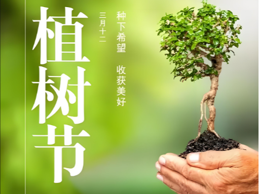 当「海洋森林」遇见植树节：以创新织就绿色未来